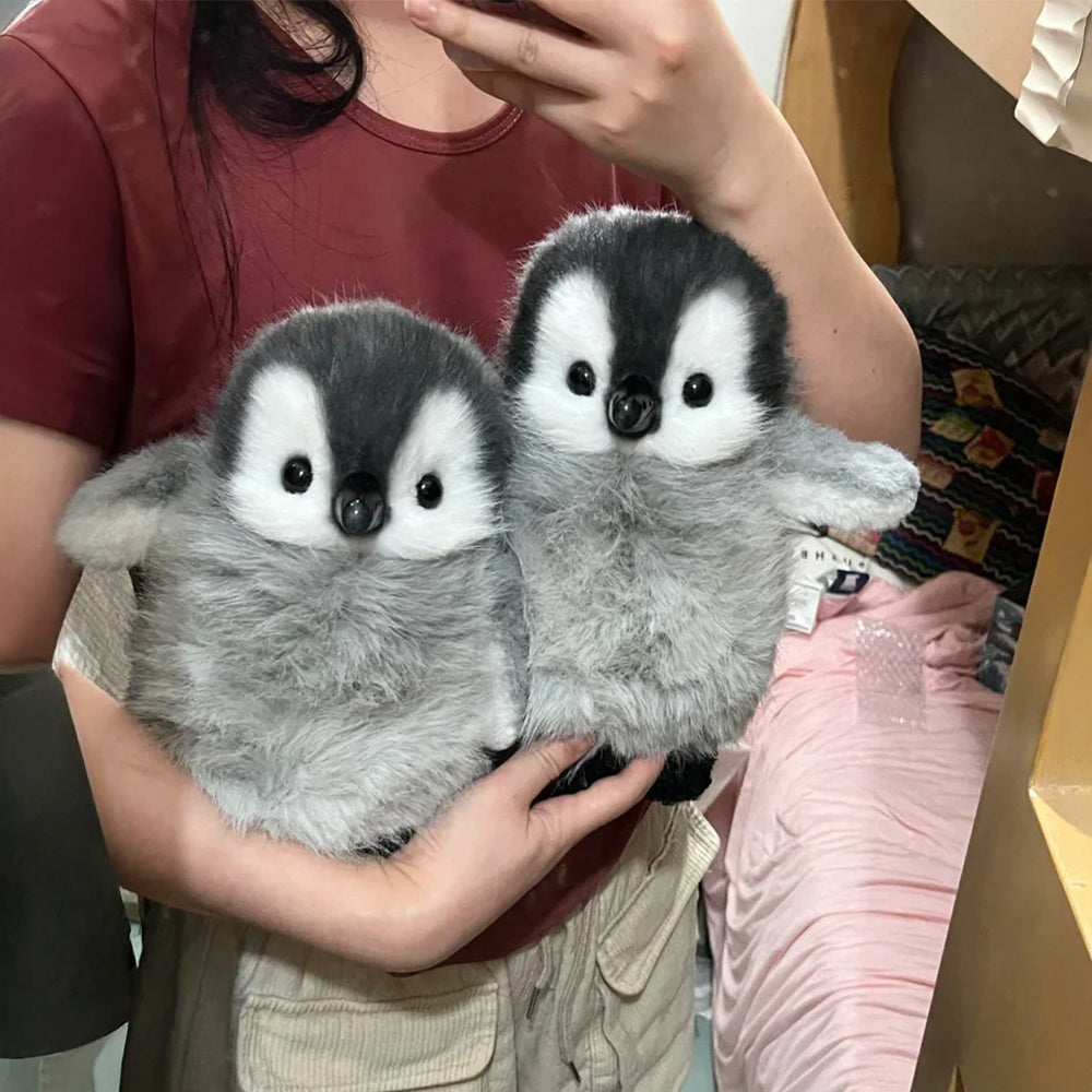 Buy 2